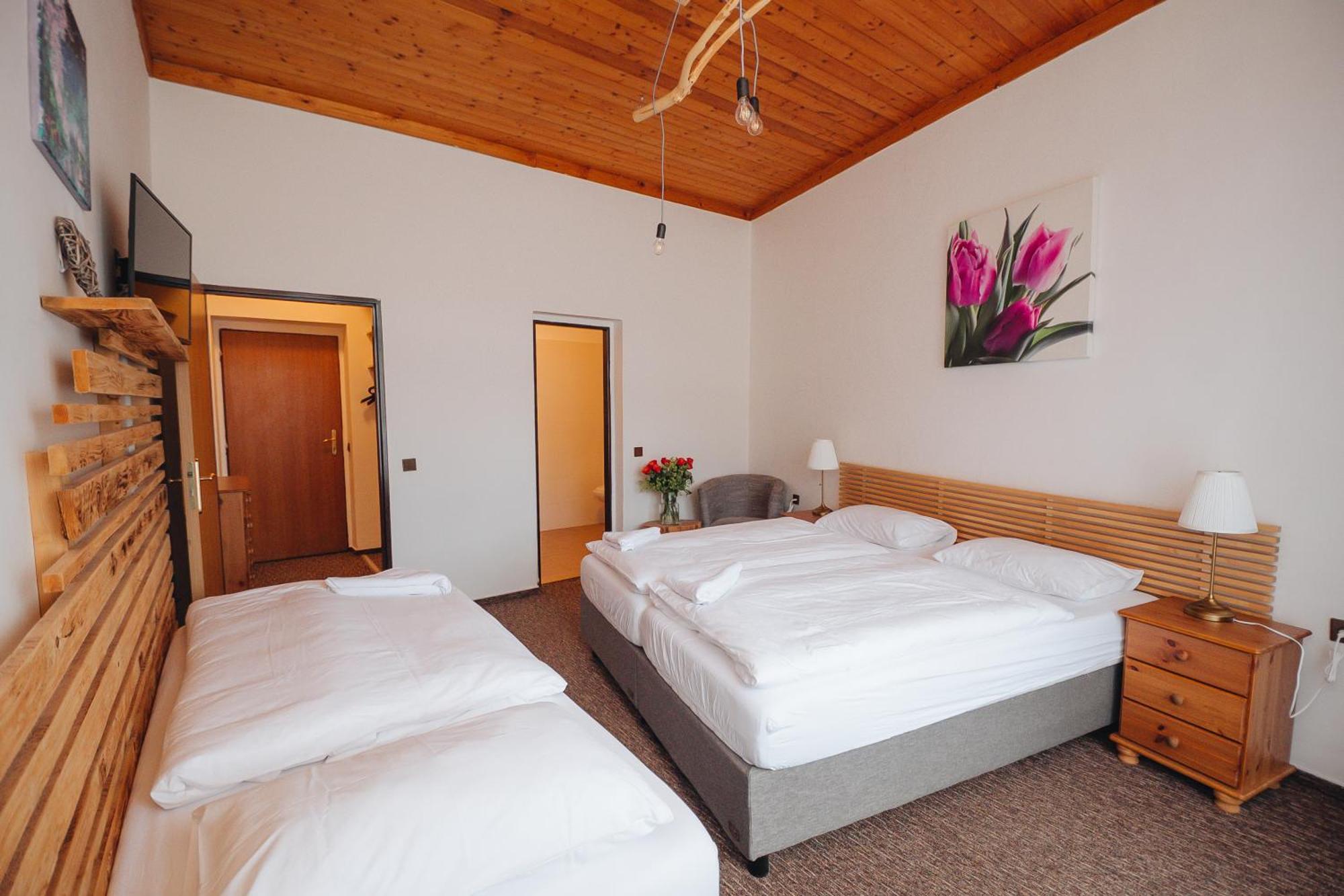 Pension Mona Harrachov Extérieur photo