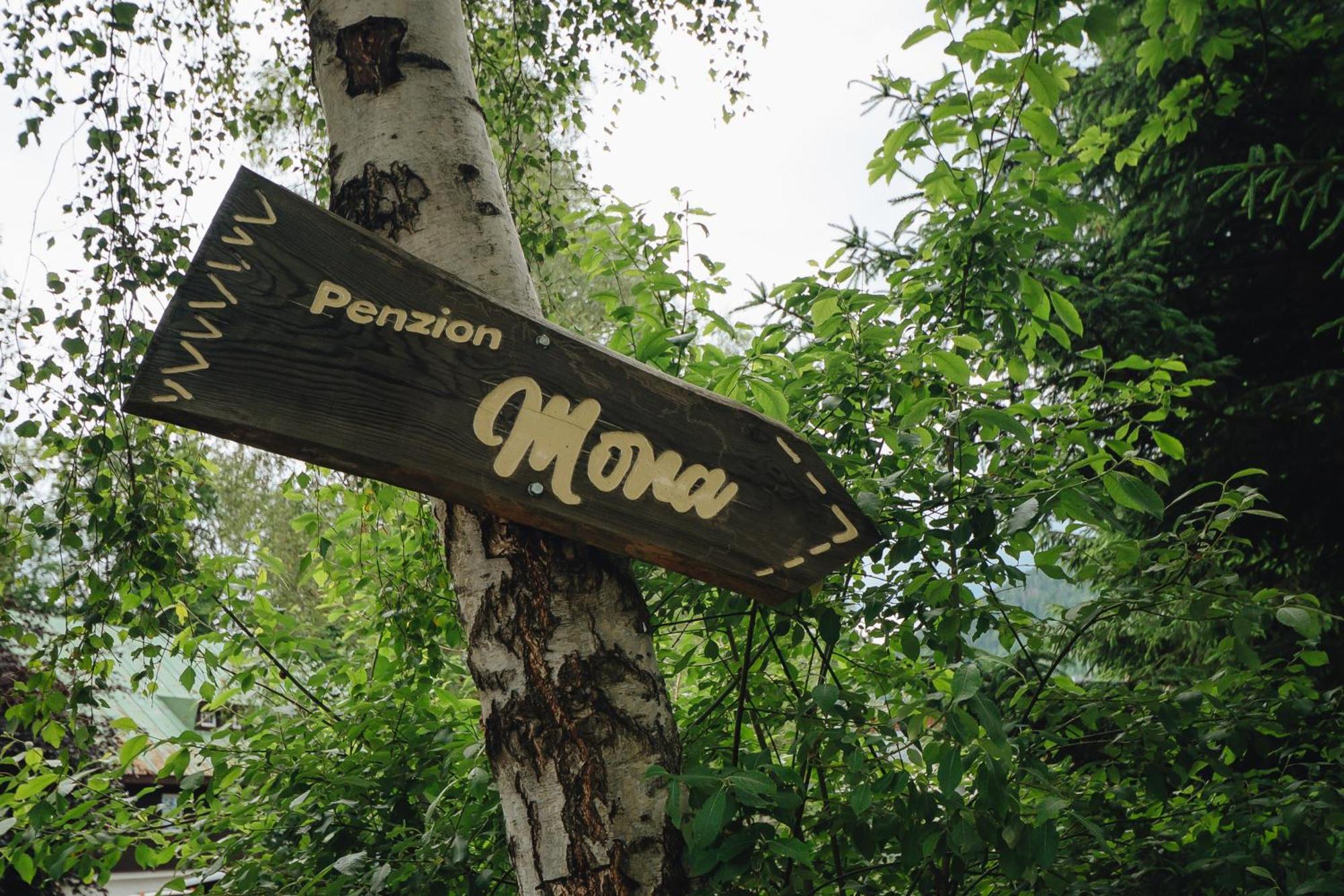 Pension Mona Harrachov Extérieur photo